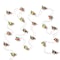Celebrations Celebrations LED Micro Dot/Fairy Clear/Warm White 20 ct Novelty Christmas Lights 6.2 ft. 9922045 - alternate 1